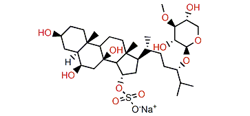 Capelloside A